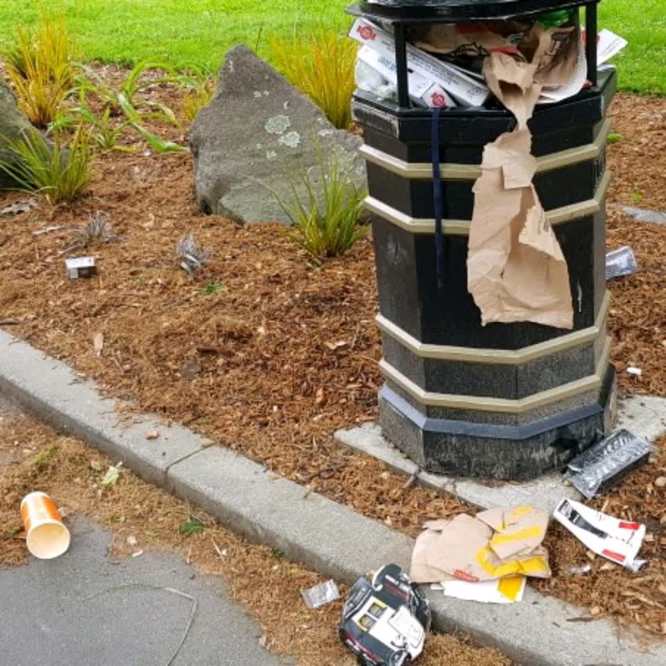 The photograph attached to this rubbish/recycling report