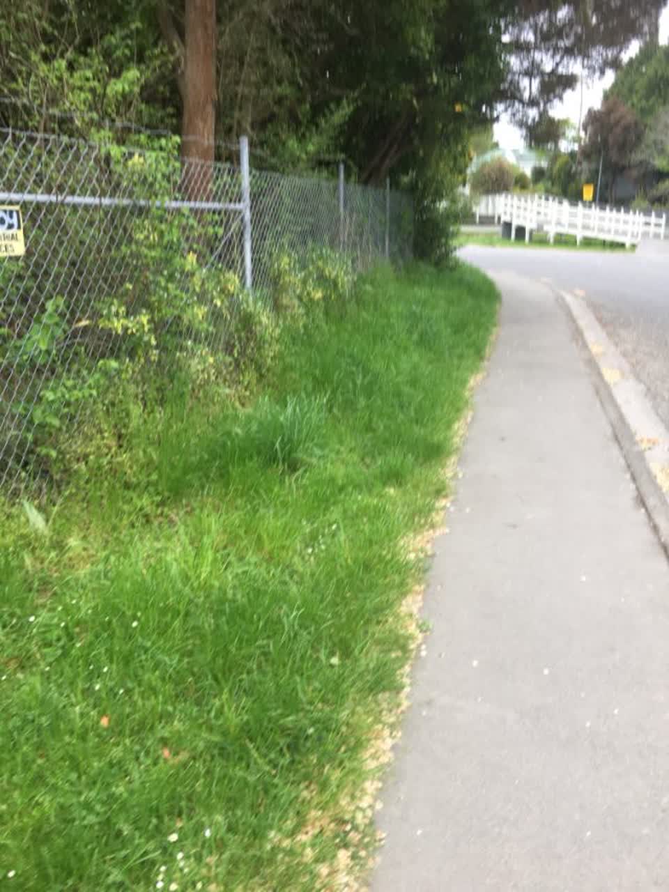 The photograph attached to this parks report