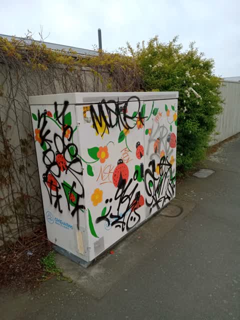 Graffiti — a report photo