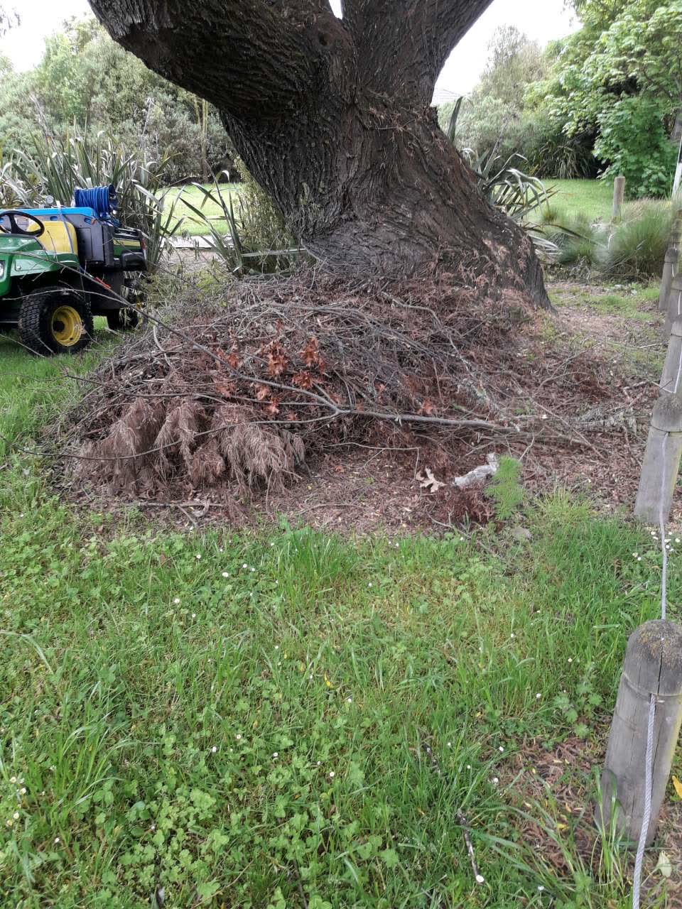 The photograph attached to this parks report