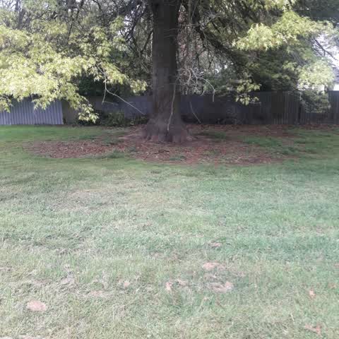 Parks, a report photo