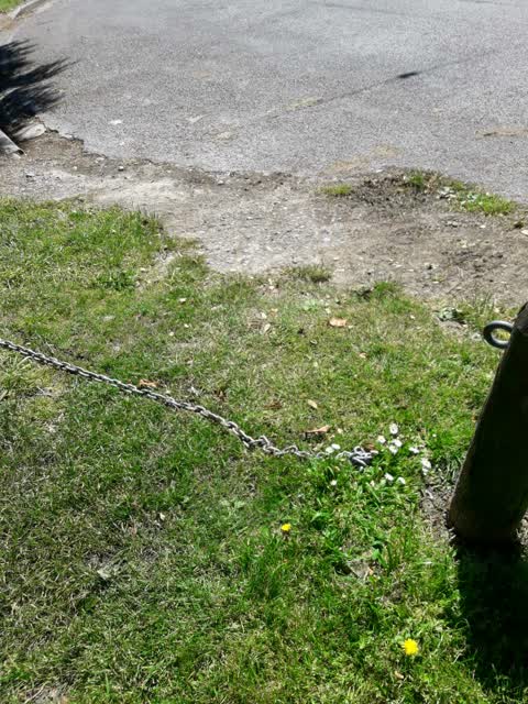 Parks, a report photo