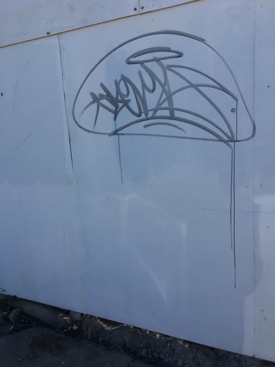 The photograph attached to this graffiti report