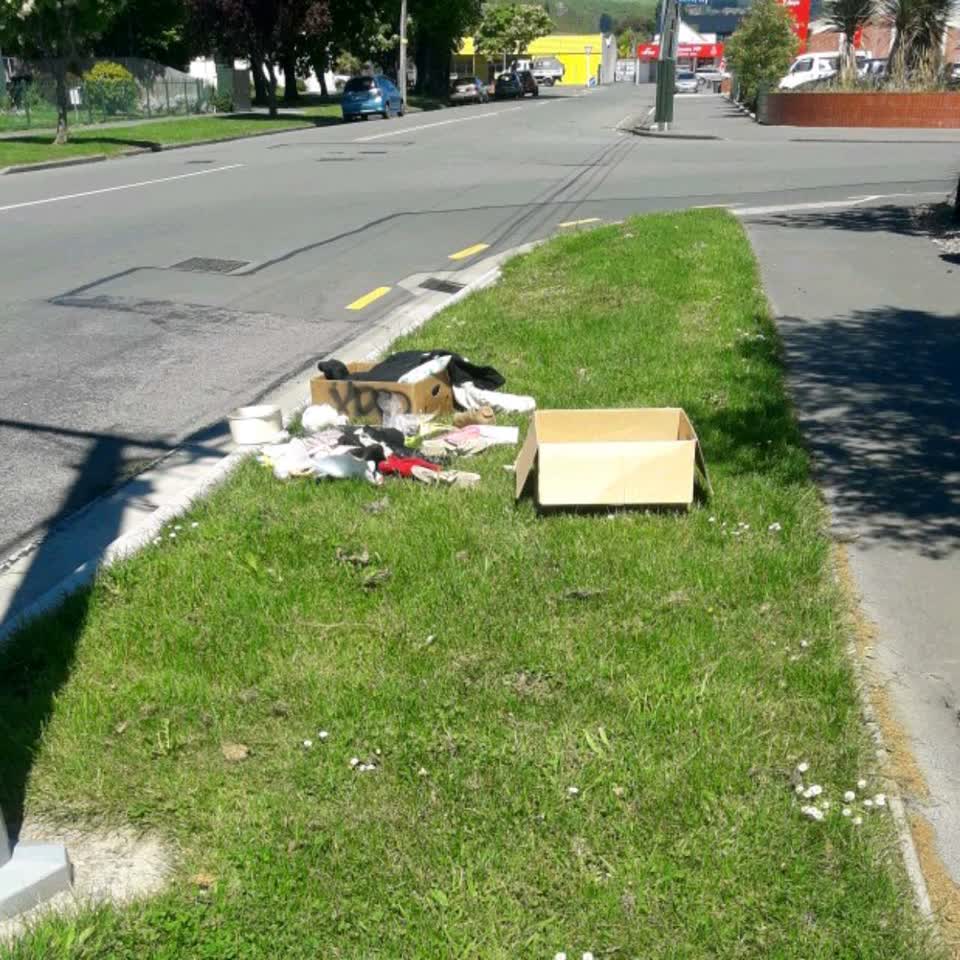 The photograph attached to this rubbish/recycling report