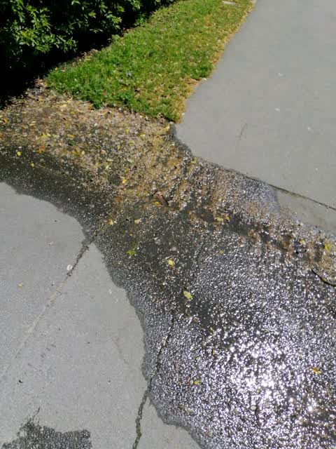 Water Supply, a report photo