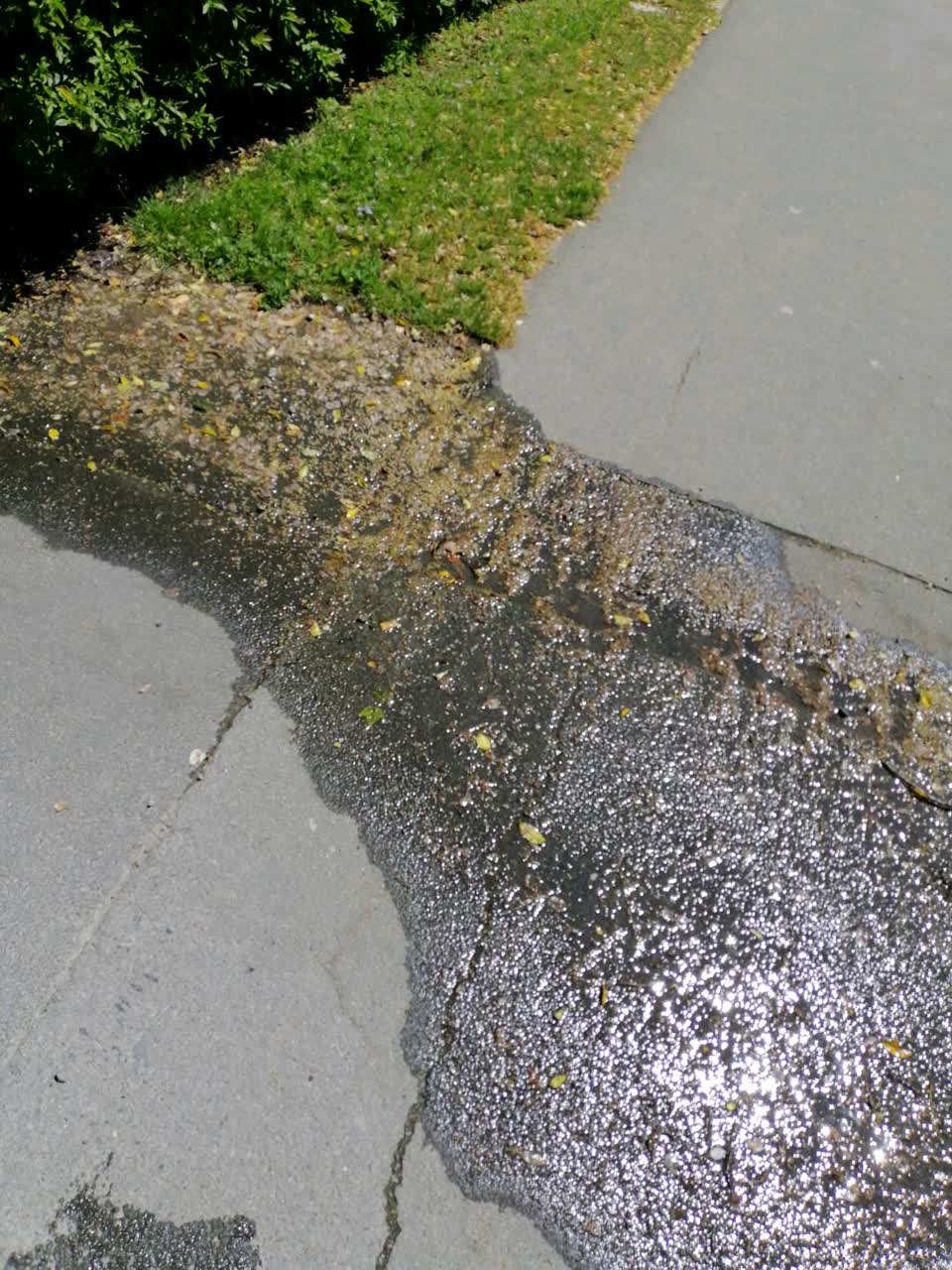 The photograph attached to this water supply report