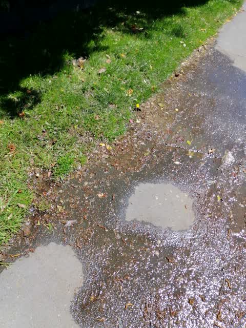 Water Supply, a report photo