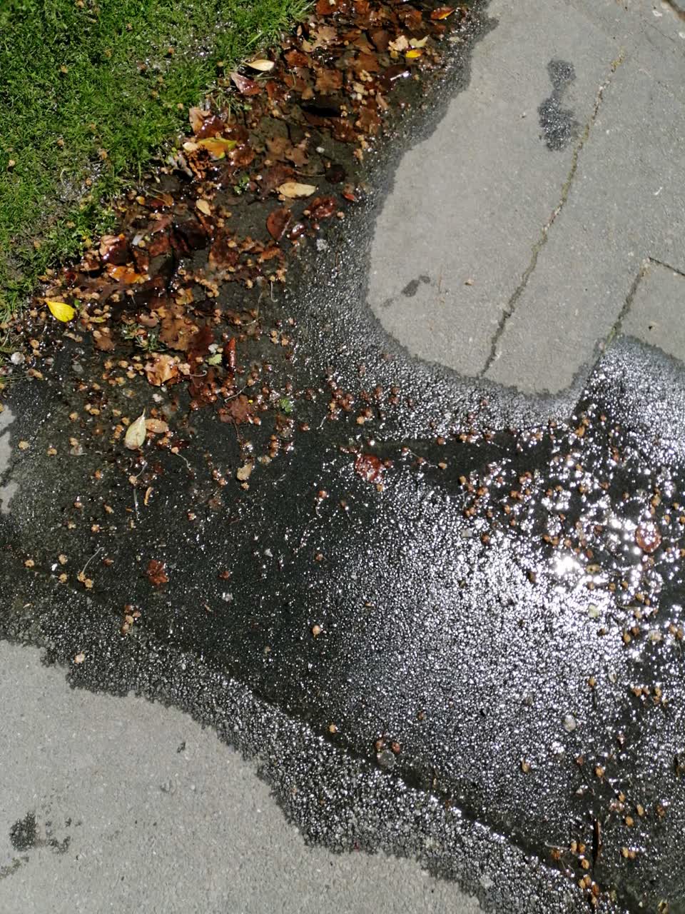 The photograph attached to this water supply report