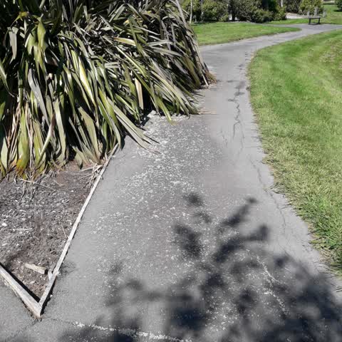 Parks, a report photo