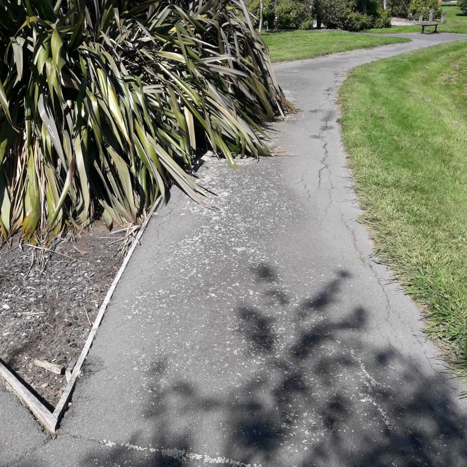The photograph attached to this parks report