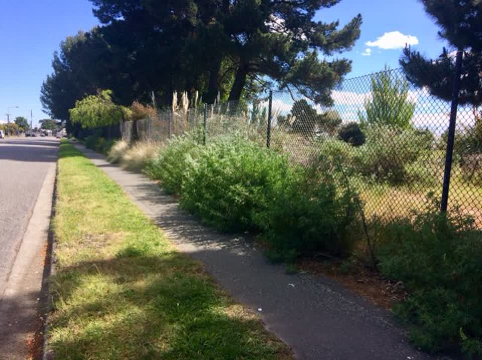 The photograph attached to this parks report