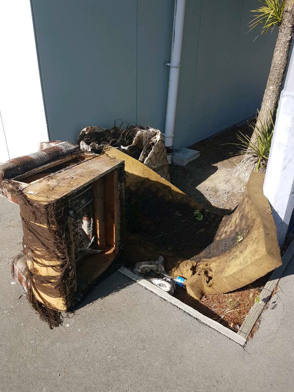 The photograph attached to this parks report