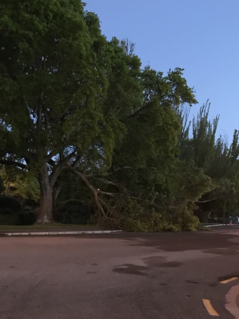 The photograph attached to this parks report
