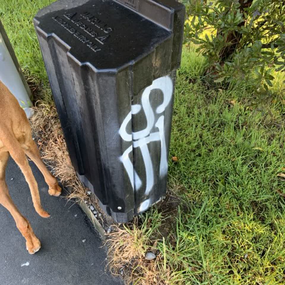 The photograph attached to this graffiti report