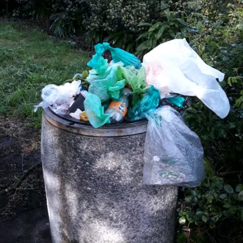 Parks, a report photo