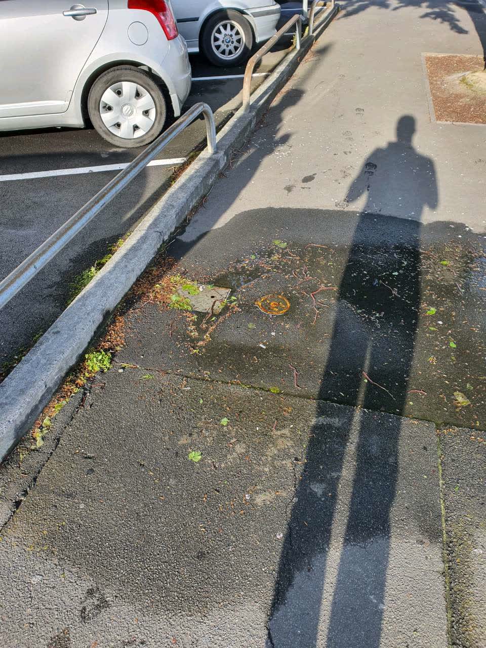 The photograph attached to this water supply report