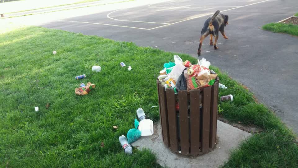 The photograph attached to this rubbish/recycling report