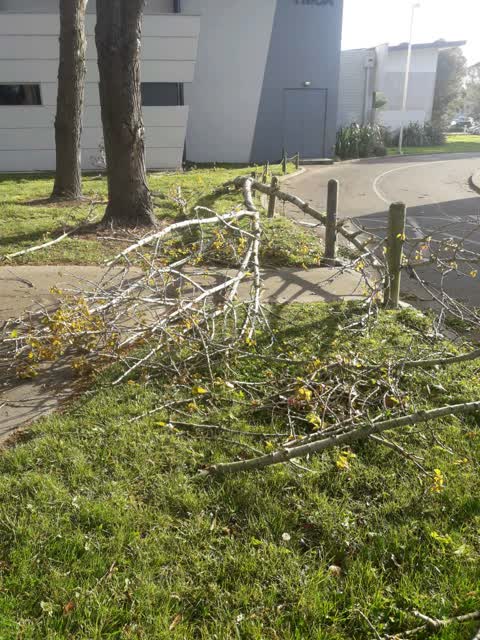 Parks, a report photo