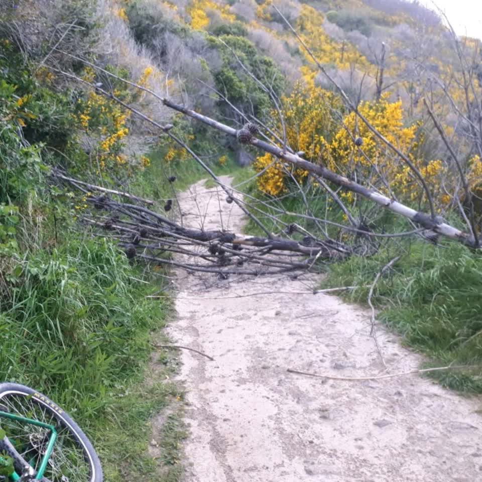 The photograph attached to this parks report