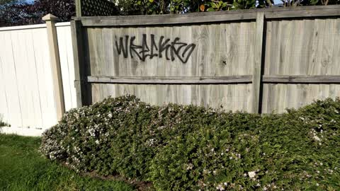 Graffiti, a report photo