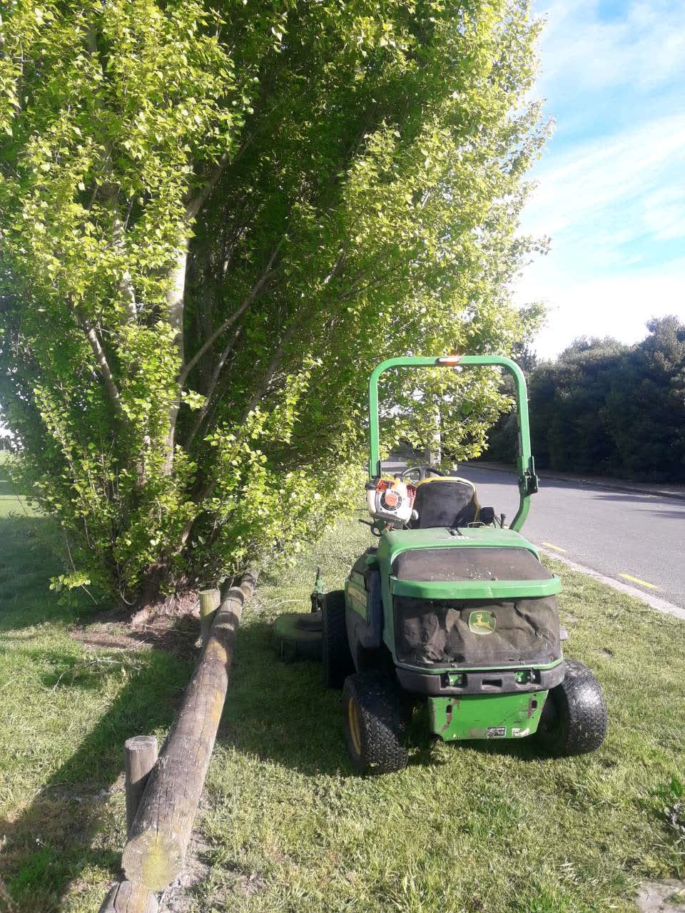 The photograph attached to this parks report