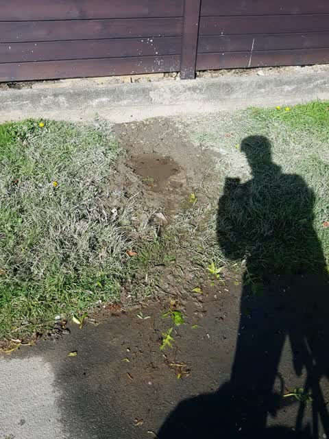 Water Supply, a report photo
