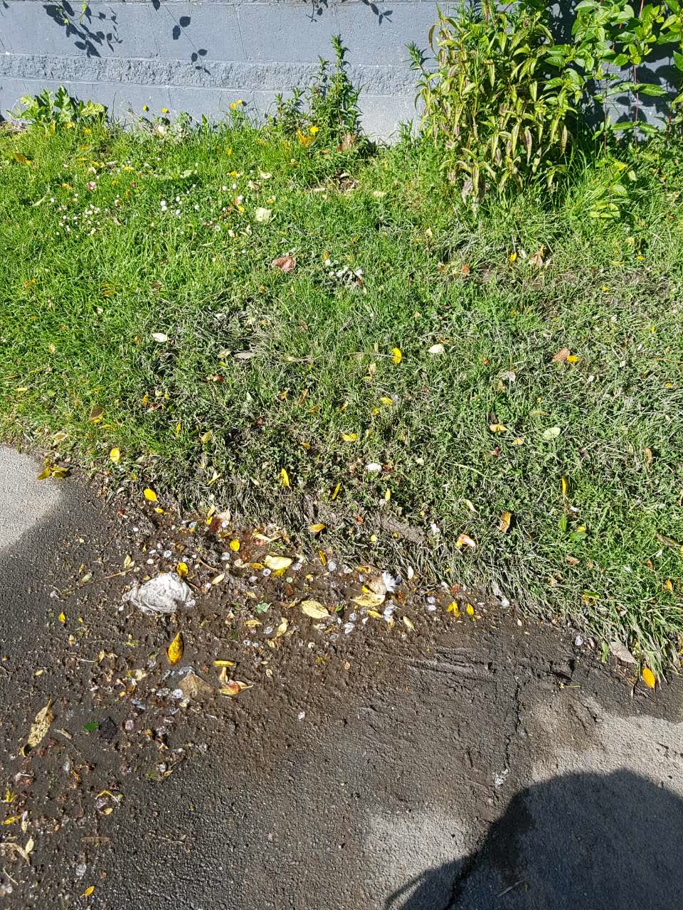 The photograph attached to this water supply report