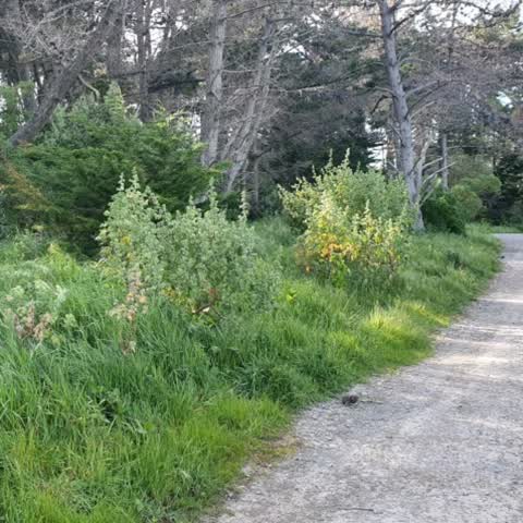 Parks — a report photo