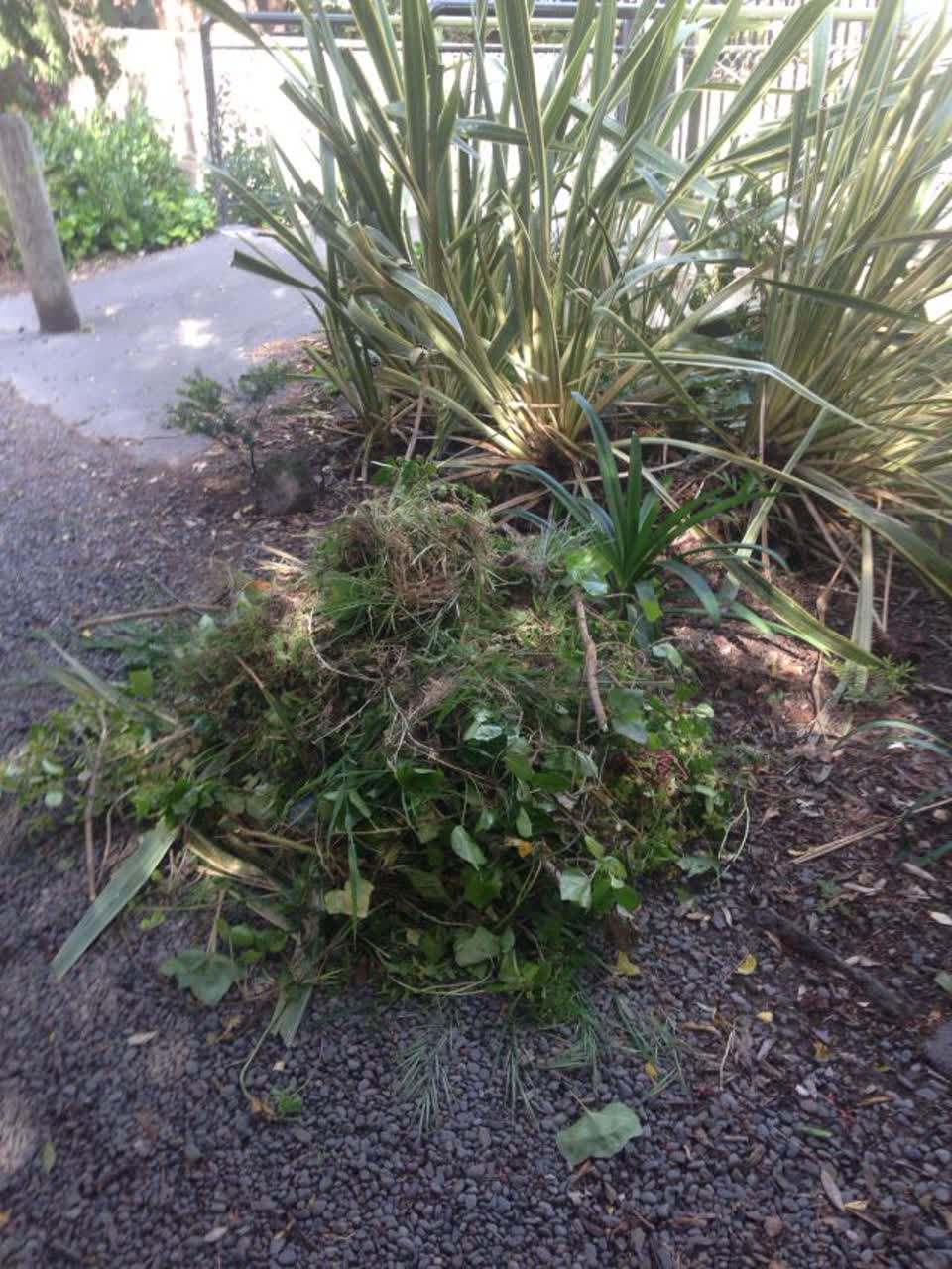 The photograph attached to this parks report