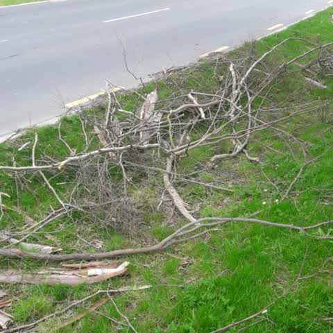 Parks, a report photo