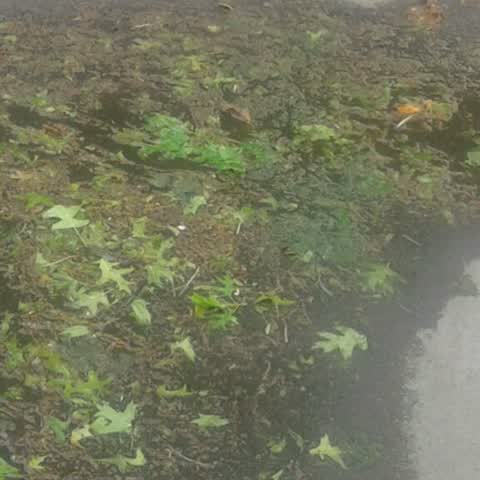 Water Supply, a report photo