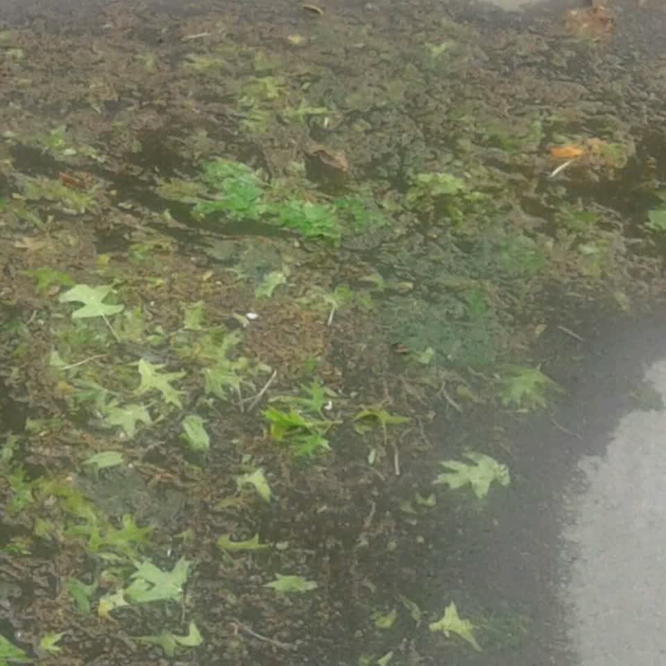The photograph attached to this water supply report