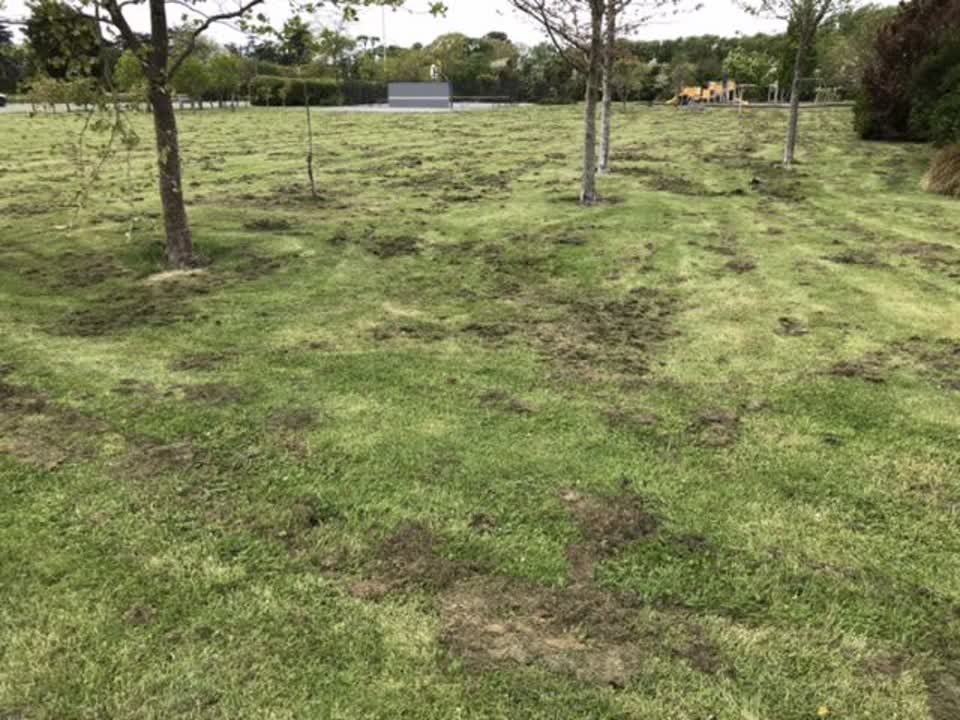 The photograph attached to this parks report