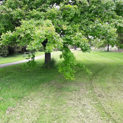 Parks, a report photo
