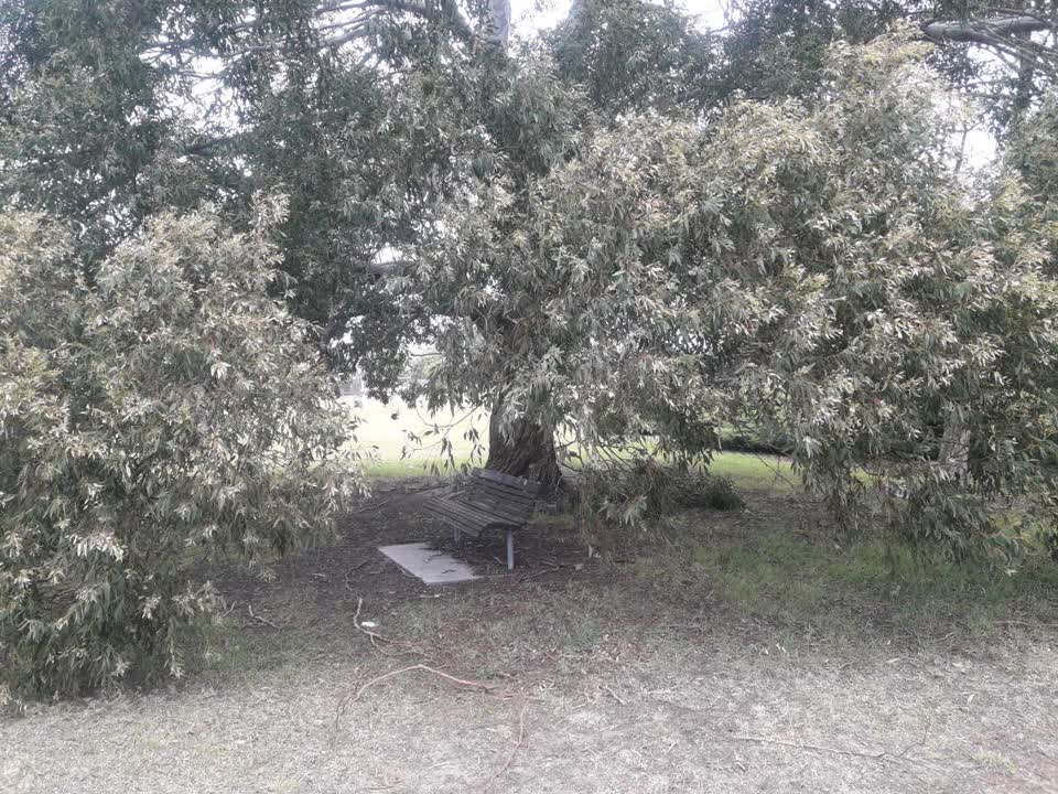 The photograph attached to this parks report