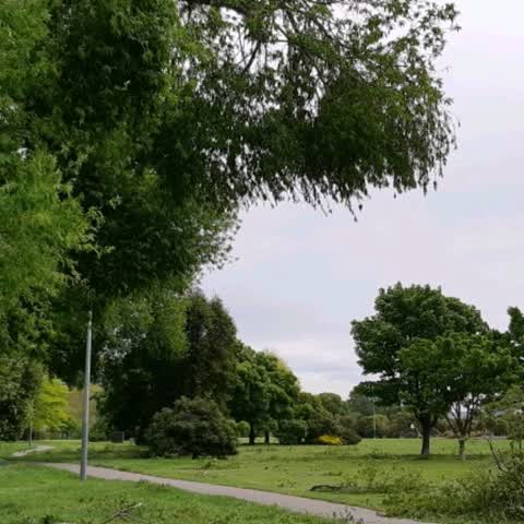 Parks, a report photo