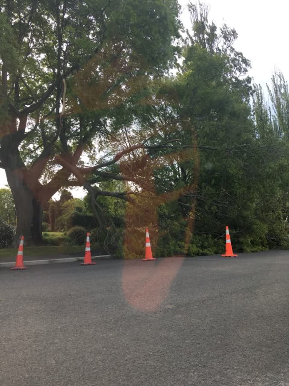 The photograph attached to this parks report