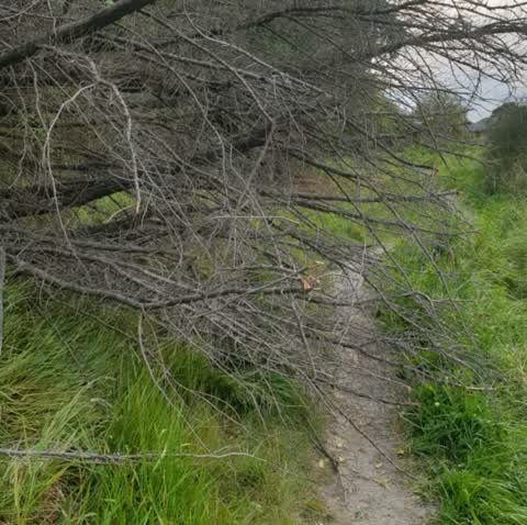 Parks, a report photo