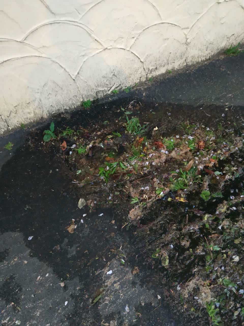 The photograph attached to this water supply report