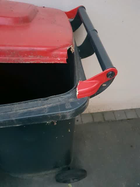 Rubbish/Recycling, a report photo