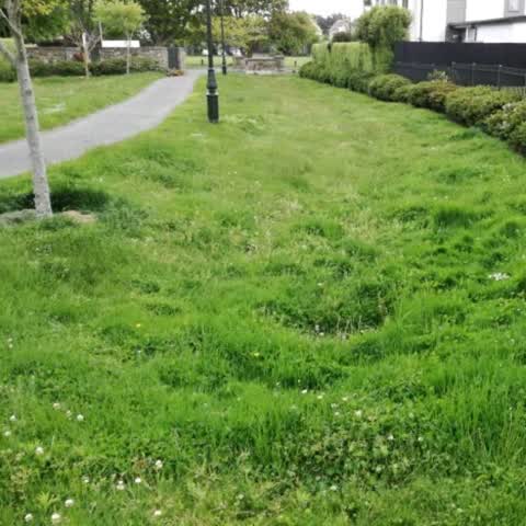 Parks, a report photo