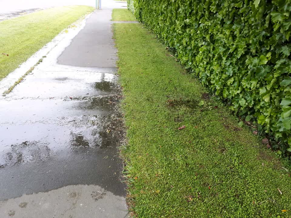 The photograph attached to this water supply report