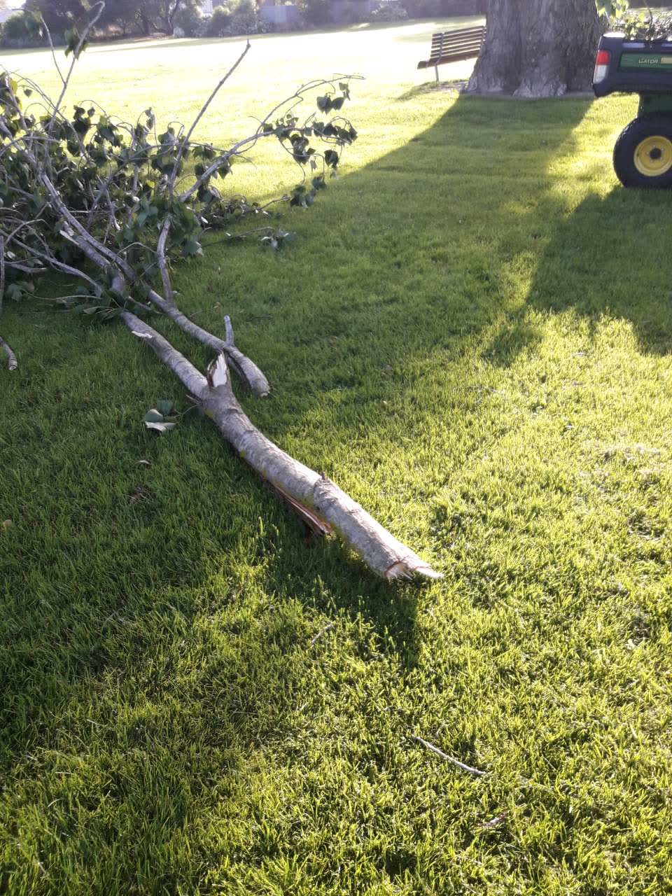The photograph attached to this parks report