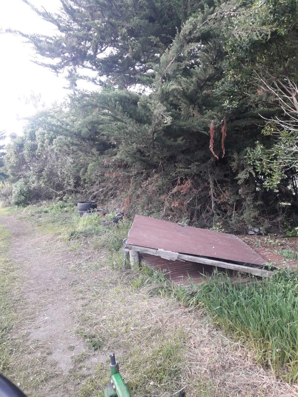 The photograph attached to this parks report