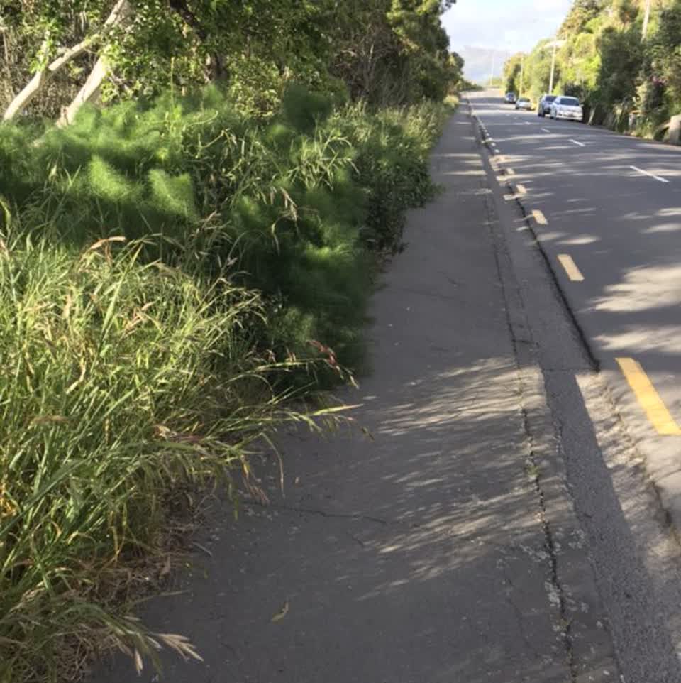 The photograph attached to this roading/streets report