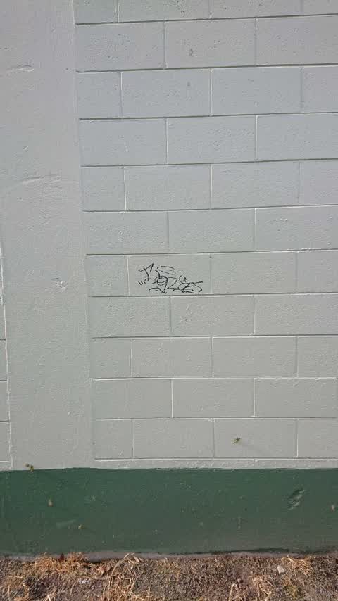 Graffiti — a report photo