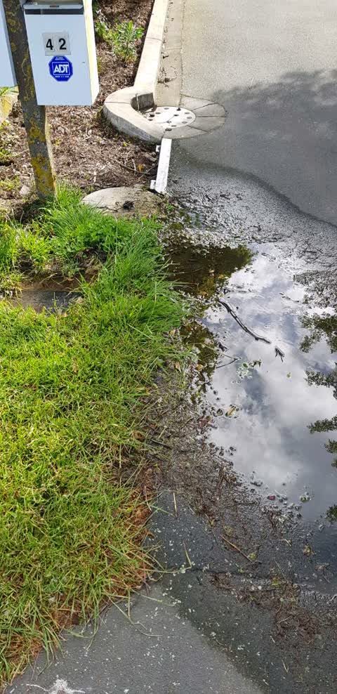 Water Supply, a report photo