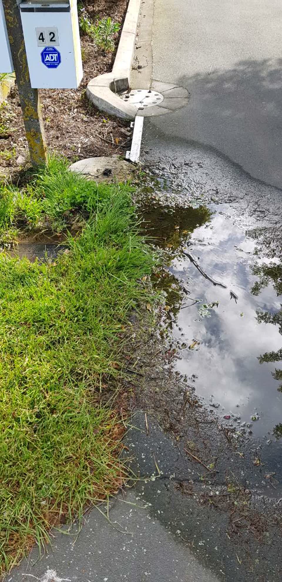 The photograph attached to this water supply report