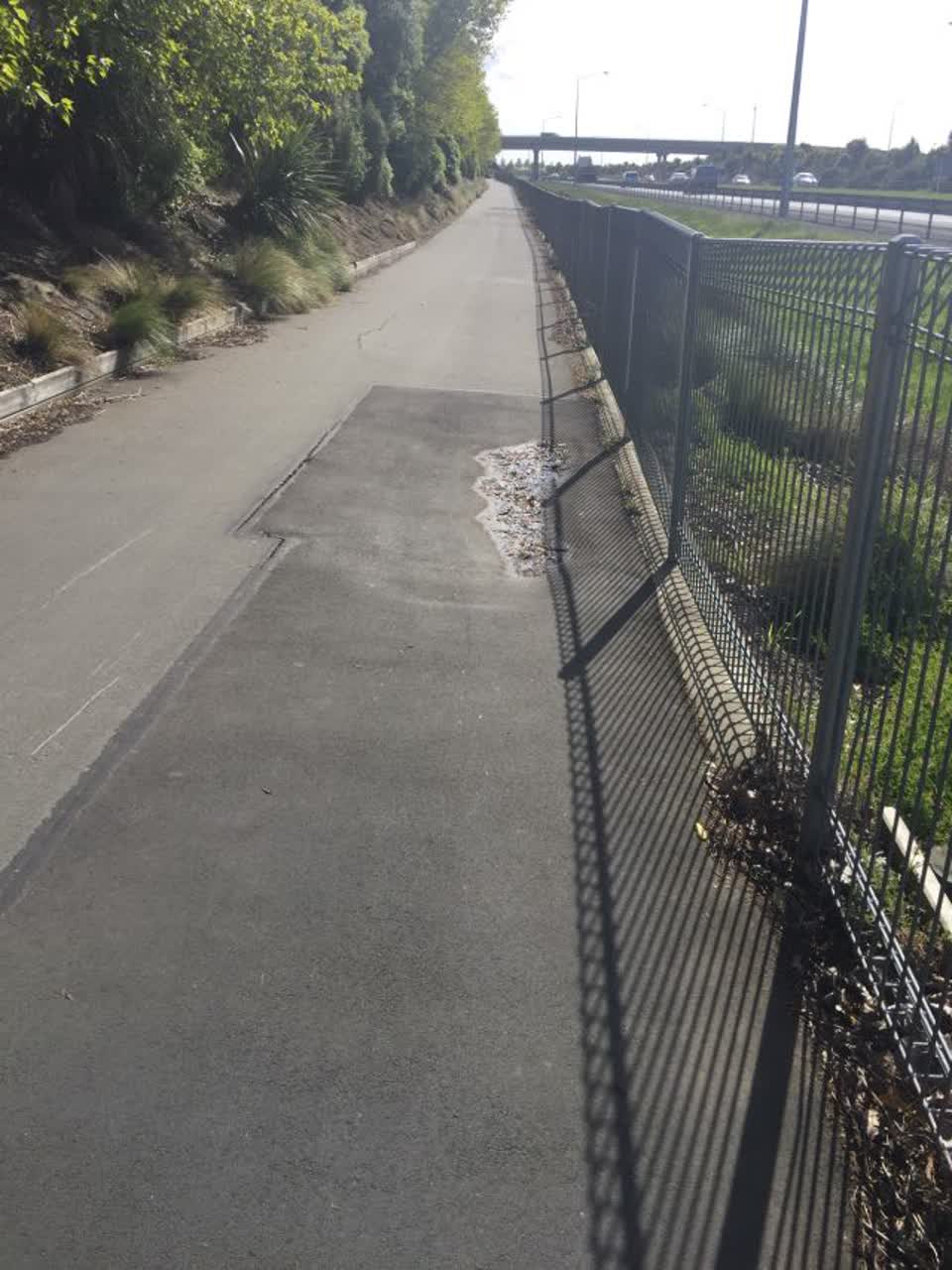 The photograph attached to this roading/streets report