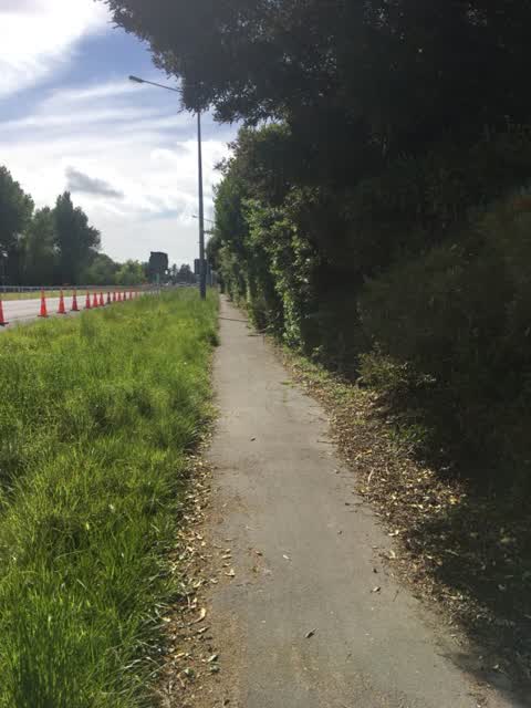 Roading/Streets, a report photo